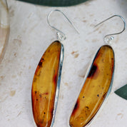 amber silver gemstone earrings