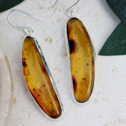 amber silver gemstone earrings